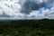 Details of the Ruins of Tikal