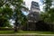 Details of the Ruins of Tikal