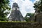 Details of the Ruins of Tikal