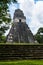 Details of the Ruins of Tikal