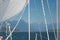 Details of a sailboat, white sail, lifelines and sheets before blurry background of sea and mountain landscape