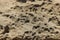 Details of sandstone texture background. The surface with depressions and pits formed under the influence of wind and sea surf.
