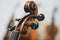 Details with the scroll, peg box, tuning pegs, strings, neck and fingerboard of a violin before a symphonic classical concert