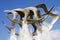 Details of seagull fountain in Cyprus and blue sky