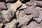 Details of volcanic tufa rhyolite rocks