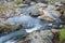 Details of the whirlpools in the Riera major creek