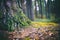 Details of wild forest, pine moss covered with green moss, close-up image