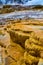 Details of Yellowstone terraces in winter at hot springs