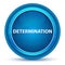 Determination Eyeball Blue Round Button