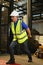 Determined Asian male warehouse worker concentrating on pulling the pallet truck with parcel