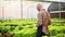 Determined Caucasian male farmer working in the greenhouse, recording the quality of vegetables