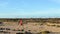 Determined Woman Running In Arid Landscape