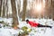 Determined young man working out in a snow covered forest. Active and healthy lifestyle concept