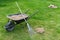 Dethatching lawn with a rake moss removal in the spring garden