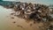 Devastation After Catastrophic Coastal Flood. Submerged Cityscape, Damaged Buildings, and Muddy Waters - Aerial View