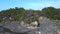 Devastation of mangrove forest on langkawi. Best aerial top view flight drone