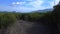 Devastation of mangrove forest on langkawi.Dramatic aerial top view flight drone