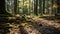 Devastation Unveiled: Barren Forest Floor Echoes Loss of Biodiversity