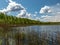 A developed bog lake, swampy meadows and bogs wonderful cumulus clouds and reflections in the water, Sedas heath, Latvia