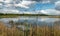 A developed bog lake, swampy meadows and bogs wonderful cumulus clouds and reflections in the water, Sedas heath, Latvia