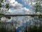 A developed bog lake, swampy meadows and bogs wonderful cumulus clouds and reflections in the water, Sedas heath, Latvia