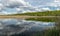 A developed bog lake, swampy meadows and bogs wonderful cumulus clouds and reflections in the water, Sedas heath, Latvia