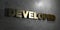 Developed - Gold sign mounted on glossy marble wall - 3D rendered royalty free stock illustration