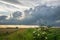 Developing storm clouds over the dutch countryside in the evening