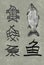 The development of Chinese character Fish