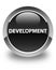 Development glossy black round button