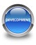 Development glossy blue round button