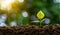 Development of seedling growth Planting seedlings young plant in the morning light on nature background