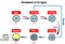 Development of the Zygote Diagram