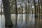 Deventer IJssel Flood Park Worp