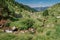 The Deveses river flowing through a valley in Andorra