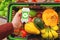 device in hand measuring nitrates and pesticides on market vegetables and fruits