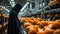 Devil in black cloak work with Pumpkins with halloween scary face on conveyor belt line.