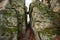 Devil Gorge at the Eifel, Teufelsschlucht with mighty boulders and canyon, hiking trail in Germany, sandstone rock formation,