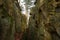 Devil Gorge at the Eifel, Teufelsschlucht with mighty boulders and canyon, hiking trail in Germany, sandstone rock formation