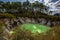 Devil`s Bath green pond at Wai-O-Tapu, Rotorua, North Island, New Zealand