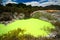 Devil\'s Bath, Wai-O-Tapu Thermal Wonderland