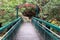 Devil`s bridge at Harzer Hexenstieg in Harz mountains