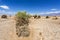 Devil`s Garden in Death Valley