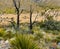 The Devil\\\'s Hall Trail in Pine Springs Canyon