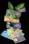 Devil`s ivy Epipremnum aureum or Money plant leaf with Indian rupee currency notes over black background.