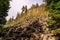 Devil`s Postpile National Monument