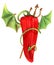 Devilish red chili pepper