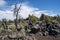 Devils Orchard trail in Craters of the Moon National Monument near Arco, Idaho. Desert sagebrush and volcanic rock