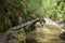 Devinska River and Eco trail Strouilitsa-Lukata, Bulgaria