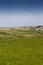 Devon patchwork fields and blue sky